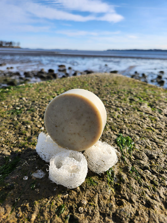 Coconut Free Super Scrubber Bar - Lavendar and Orange